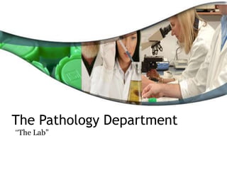 The Pathology Department
“The Lab”
 
