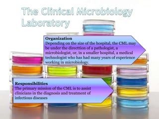 Organization
Depending on the size of the hospital, the CML may
be under the directtion of a pathologist, a
microbiologist, or, in a smaller hospital, a medical
technologist who has had many years of experience
working in microbiology.
Responsibilities
The primary mission of the CML is to assist
clinicians in the diagnosis and treatment of
infectious diseases
 
