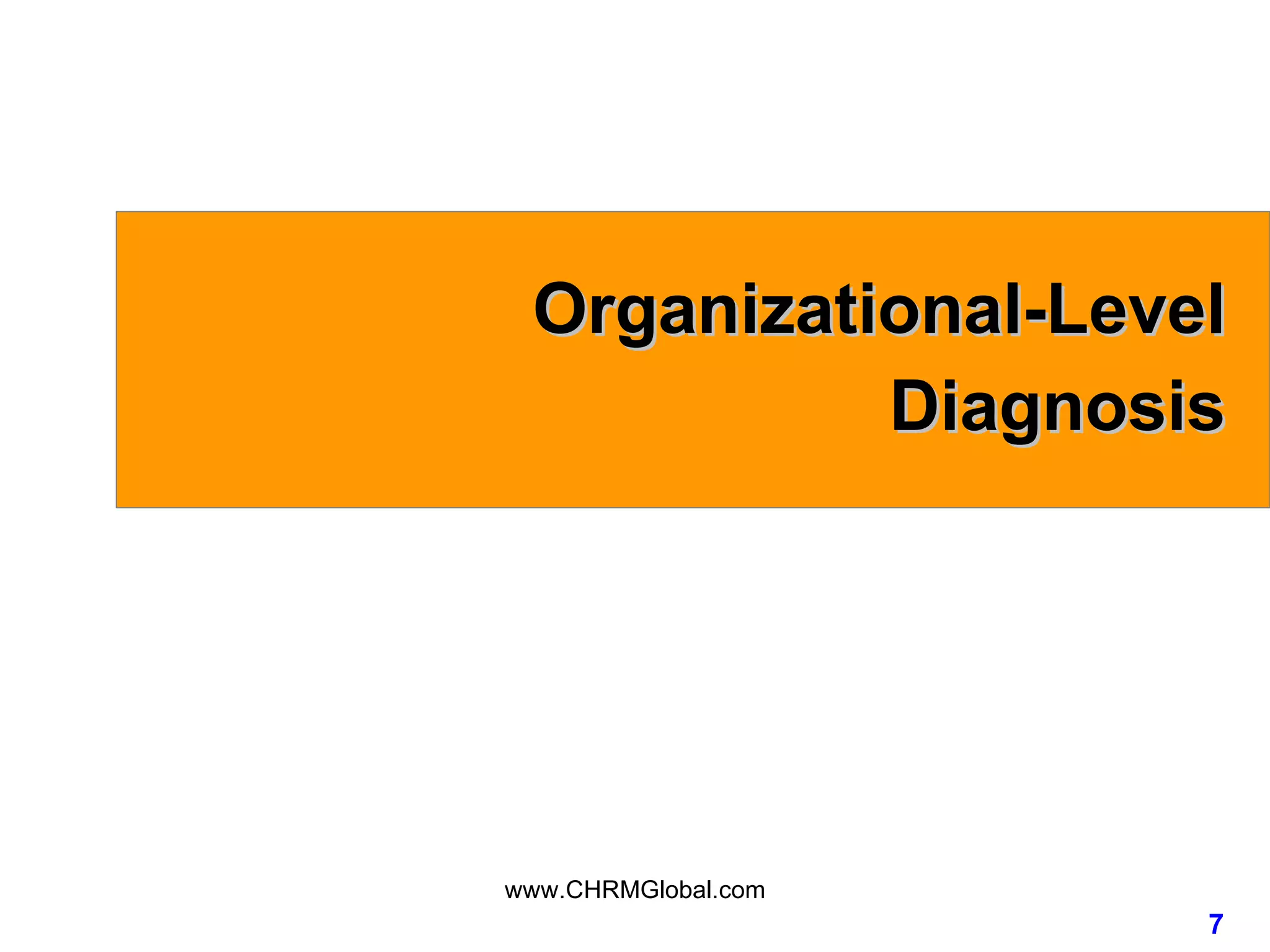Organizational-Level Diagnosis 