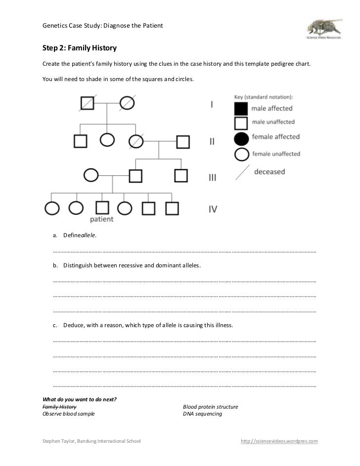 Genetics case study diagnose the patient worksheet 08 image