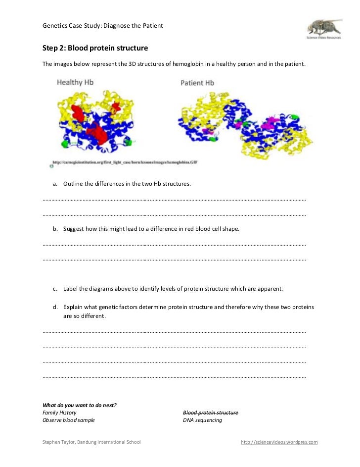 Gene definition biology picture