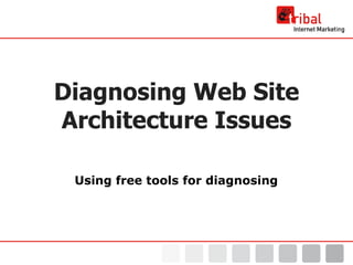 Diagnosing Web Site Architecture Issues Using free tools for diagnosing 