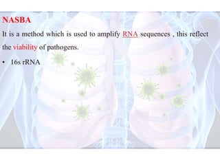 Nasba Method mycoplasma pneumonia | PPTX