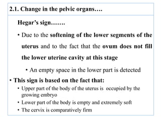 2.1. Change in the pelvic organs….
Hegar’s sign…….
• Due to the softening of the lower segments of the
uterus and to the fact that the ovum does not fill
the lower uterine cavity at this stage
• An empty space in the lower part is detected
• This sign is based on the fact that:
• Upper part of the body of the uterus is occupied by the
growing embryo
• Lower part of the body is empty and extremely soft
• The cervix is comparatively firm
 