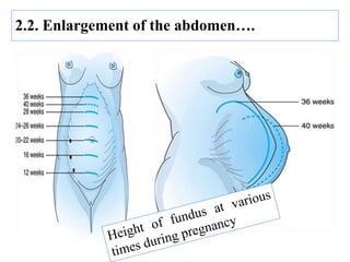 2.2. Enlargement of the abdomen….
 