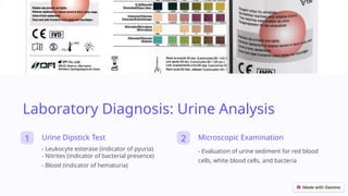 What Is Pyuria Number Lab Test Example Diagnosis-and-Management-of-Urinary-Tract-Infections.pptx