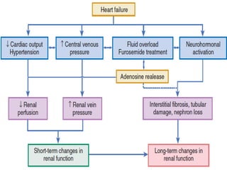 Diagnosis and management of acute heart failure | PPTX