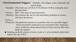 ➢Environmental Triggers – Sunlight, cold, fatigue, stress, chemicals and
certain drugs.
*Sunlight : Ultraviolet rays (UVB or UVA) Shorter UVB wavelengths cause
the most harm.
*Viruses : EBV ( The cause of mononucleosis)
*Smoking : May increase the risk for skin and kidney problems in women
who have the disease.
*Tobacco
*Chemicals: Occupational exposure to crystalline silica as a possible trigger.
Some prescription medications are associated with a temporary
lupus syndromes (drug-induced lupus),which resolves after these
drugs are stopped.
☻ Drinking alcohol(2 glasses of wine a week or ½ of an alcoholic drink daily)
reduces the risk of SLE.
 
