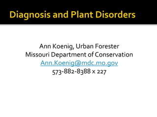 Ann Koenig, Urban Forester
Missouri Department of Conservation
     Ann.Koenig@mdc.mo.gov
         573-882-8388 x 227
 