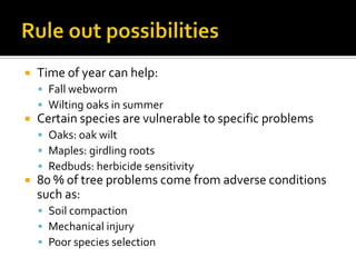    Time of year can help:
     Fall webworm
     Wilting oaks in summer
   Certain species are vulnerable to specific problems
     Oaks: oak wilt
     Maples: girdling roots
     Redbuds: herbicide sensitivity
   80 % of tree problems come from adverse conditions
    such as:
     Soil compaction
     Mechanical injury
     Poor species selection
 