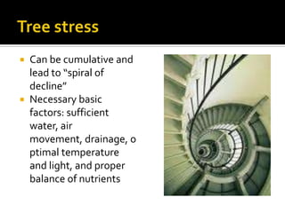  Can be cumulative and
  lead to “spiral of
  decline”
 Necessary basic
  factors: sufficient
  water, air
  movement, drainage, o
  ptimal temperature
  and light, and proper
  balance of nutrients
 