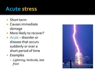  Short term
 Causes immediate
  damage
 More likely to recover?
 Acute – disorder or
  disease that occurs
  suddenly or over a
  short period of time
 Examples
     Lightning, herbicide, late
      frost
 