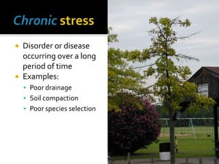  Disorder or disease
  occurring over a long
  period of time
 Examples:
     Poor drainage
     Soil compaction
     Poor species selection
 