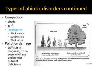    Competition
     shade
     turf
     allelopathy
      ▪ Black walnut
      ▪ Sugar maple
      ▪ Black locust
   Pollution damage
     Difficult to
      diagnose, often
      seen in foliage
      and mimics
      nutrient
      deficiency
 