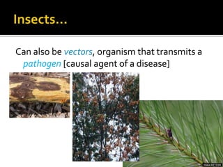 Can also be vectors, organism that transmits a
 pathogen [causal agent of a disease]
 