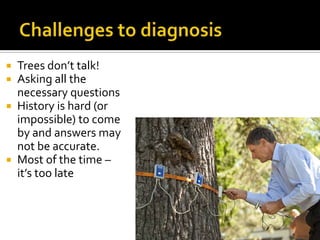  Trees don’t talk!
 Asking all the
  necessary questions
 History is hard (or
  impossible) to come
  by and answers may
  not be accurate.
 Most of the time –
  it’s too late
 