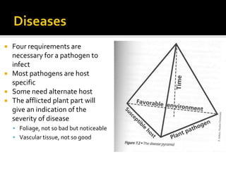    Four requirements are
    necessary for a pathogen to
    infect
   Most pathogens are host
    specific
   Some need alternate host
   The afflicted plant part will
    give an indication of the
    severity of disease
     Foliage, not so bad but noticeable
     Vascular tissue, not so good
 