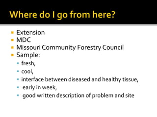    Extension
   MDC
   Missouri Community Forestry Council
   Sample:
       fresh,
       cool,
       interface between diseased and healthy tissue,
        early in week,
        good written description of problem and site
 