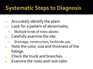 1.       Accurately identify the plant.
2.       Look for a pattern of abnormality.
         Multiple kinds of trees-abiotic
3.       Carefully examine the site.
         Drainage, construction, herbicide use,
4.       Note the color, size and thickness of the
         foliage.
5.       Check the trunk and branches.
6.       Examine the roots and root color.
 