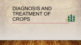 DIAGNOSIS AND
TREATMENT OF
CROPS
 
