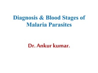 Diagnosis & Blood Stages of
Malaria Parasites
Dr.Ankur kumar.
 