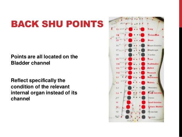 Back Shu Points Chart