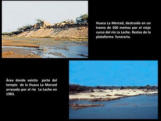 Huaca La Merced, destruida en un tramo de 500 metros por el viejo curso del río La Leche. Restos de la plataforma funeraria. 
Área donde existía parte del templo de la Huaca La Merced arrasado por el río La Leche en 1983.  