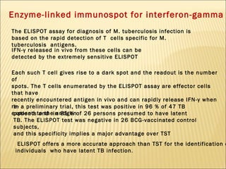 Enzyme-linked immunospot for interferon-gamma The ELISPOT assay for diagnosis of M. tuberculosis infection is based on the rapid detection of T  cells specific for M. tuberculosis  antigens. IFN-γ released in vivo from these cells can be detected by the extremely sensitive ELISPOT  In a preliminary trial, this test was positive in 96 % of 47 TB patients and  in 85 % of 26 persons presumed to have latent TB. The ELISPOT test was negative in 26 BCG-vaccinated control subjects, and this specificity implies a major advantage over TST  ELISPOT offers a more accurate approach than TST for the identification of individuals  who have latent TB infection .  Each such T cell gives rise to a dark spot and the readout is the number of spots. The T cells enumerated by the ELISPOT assay are effector cells that have recently encountered antigen in vivo and can rapidly release IFN-γ when re- exposed to the antigen  