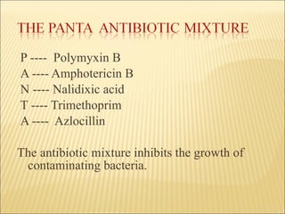P ----  Polymyxin B A ---- Amphotericin B N ---- Nalidixic acid T ---- Trimethoprim A ----  Azlocillin The antibiotic mixture inhibits the growth of contaminating bacteria. 