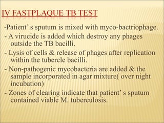 - Patient’ s sputum is mixed with myco-bactriophage.  - A virucide is added which destroy any phages outside the TB bacilli. - Lysis of cells & release of phages after replication within the tubercle bacilli. - Non-pathogenic mycobacteria are added & the sample incorporated in agar mixture( over night incubation) - Zones of clearing indicate that patient’ s sputum contained viable M. tuberculosis. 