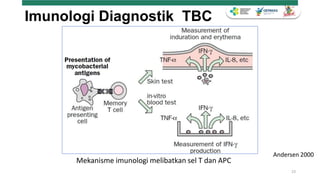 Turapi Rapid Diagnosis ILTB terapi dan monitoring TPT Fix.pptx