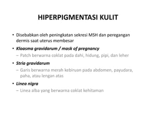 HIPERPIGMENTASI KULIT
• Disebabkan oleh peningkatan sekresi MSH dan peregangan
dermis saat uterus membesar
• Kloasma gravidarum / mask of pregnancy
– Patch berwarna coklat pada dahi, hidung, pipi, dan leher
• Stria gravidarum
– Garis berwarna merah kebiruan pada abdomen, payudara,
paha, atau lengan atas
• Linea nigra
– Linea alba yang berwarna coklat kehitaman
 