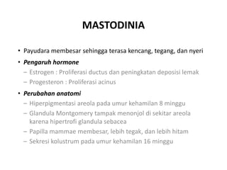 MASTODINIA
• Payudara membesar sehingga terasa kencang, tegang, dan nyeri
• Pengaruh hormone
– Estrogen : Proliferasi ductus dan peningkatan deposisi lemak
– Progesteron : Proliferasi acinus
• Perubahan anatomi
– Hiperpigmentasi areola pada umur kehamilan 8 minggu
– Glandula Montgomery tampak menonjol di sekitar areola
karena hipertrofi glandula sebacea
– Papilla mammae membesar, lebih tegak, dan lebih hitam
– Sekresi kolustrum pada umur kehamilan 16 minggu
 