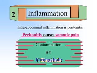 Important features of somatic pain
I. Pat. Laying quite in bed . ( movement is limited )
II. Examination may demonstrate g...