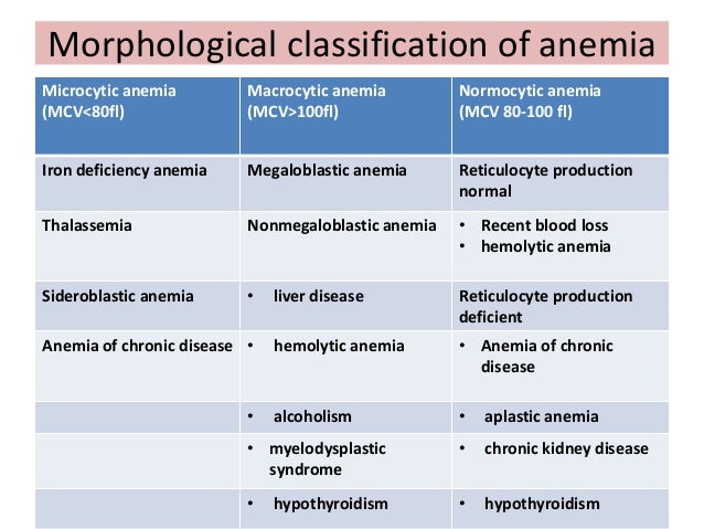 Diagnosis of Anemia