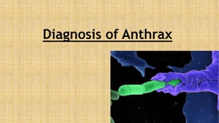 Diagnosis of Anthrax
 