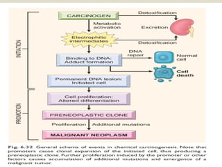 DIAGNOSIS OF CANCER, TUMOR MARKERS AND PARANEOPLASTIC.pptx