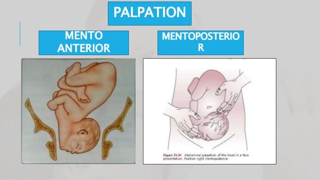 How to make a video presentation with powerpoint image