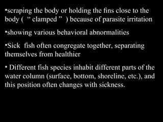 Diagnosis of fish diseases | PPT