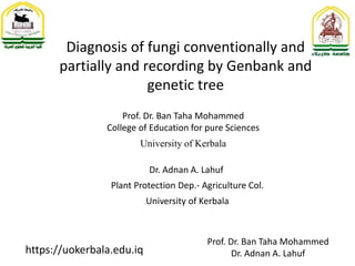 Prof. Dr. Ban Taha Mohammed
Dr. Adnan A. Lahuf
https://uokerbala.edu.iq
Diagnosis of fungi conventionally and
partially and recording by Genbank and
genetic tree
Prof. Dr. Ban Taha Mohammed
College of Education for pure Sciences
University of Kerbala
Dr. Adnan A. Lahuf
Plant Protection Dep.- Agriculture Col.
University of Kerbala
 
