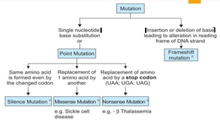 Diagnosis of genetic diseases | PPTX