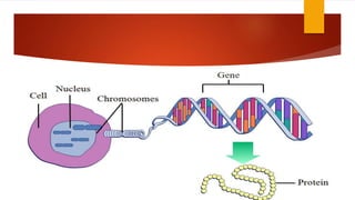 Diagnosis of genetic diseases | PPTX