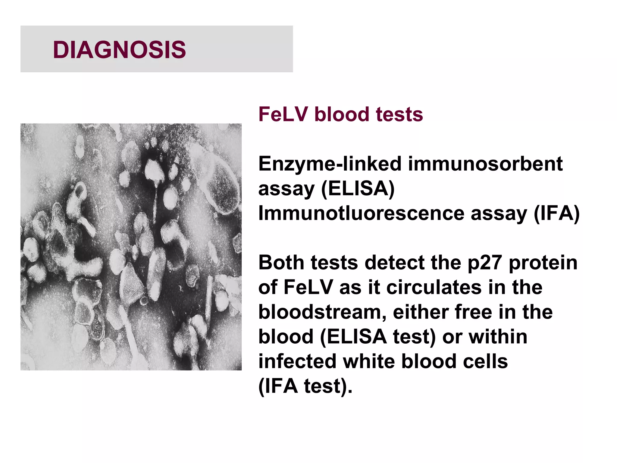 Diagnosis Of Genetic Disorders & Infectious Diseases | PPT