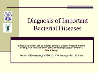 Diagnosis of Important
Bacterial Diseases
Effective treatment can be initiated sooner if diagnostic results can be
made quickly available to the clinician treating a disease outbreak.
Bhoj R Singh
Section of Epidemiology, CADRAD, IVRI, Izatnagar-243122, India
 