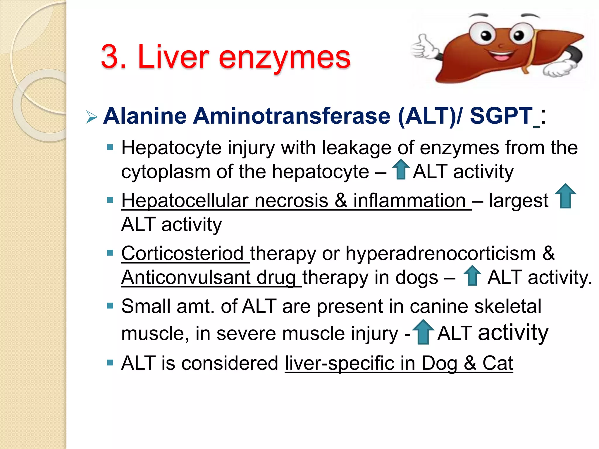 Diagnosis of Liver Disease in Dogs & Cats | PPTX