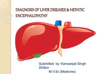 DIAGNOSISOF LIVERDISEASES & HEPATIC
ENCEPHALOPATHY
Submitted by: Kanwarpal Singh
Dhillon
M.V.Sc (Medicine)
 