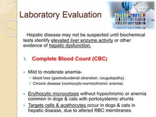 Diagnosis of Liver Disease in Dogs & Cats | PPTX