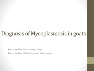 Diagnosis of Mycoplasmosis in goats
Presented by :Mohammad iliyas
Presented to : Dr.Mohammad Iqbal yatoo
 