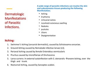 Parasite Rashes In Humans Diagnosis of Parasitic Diseases.pptx