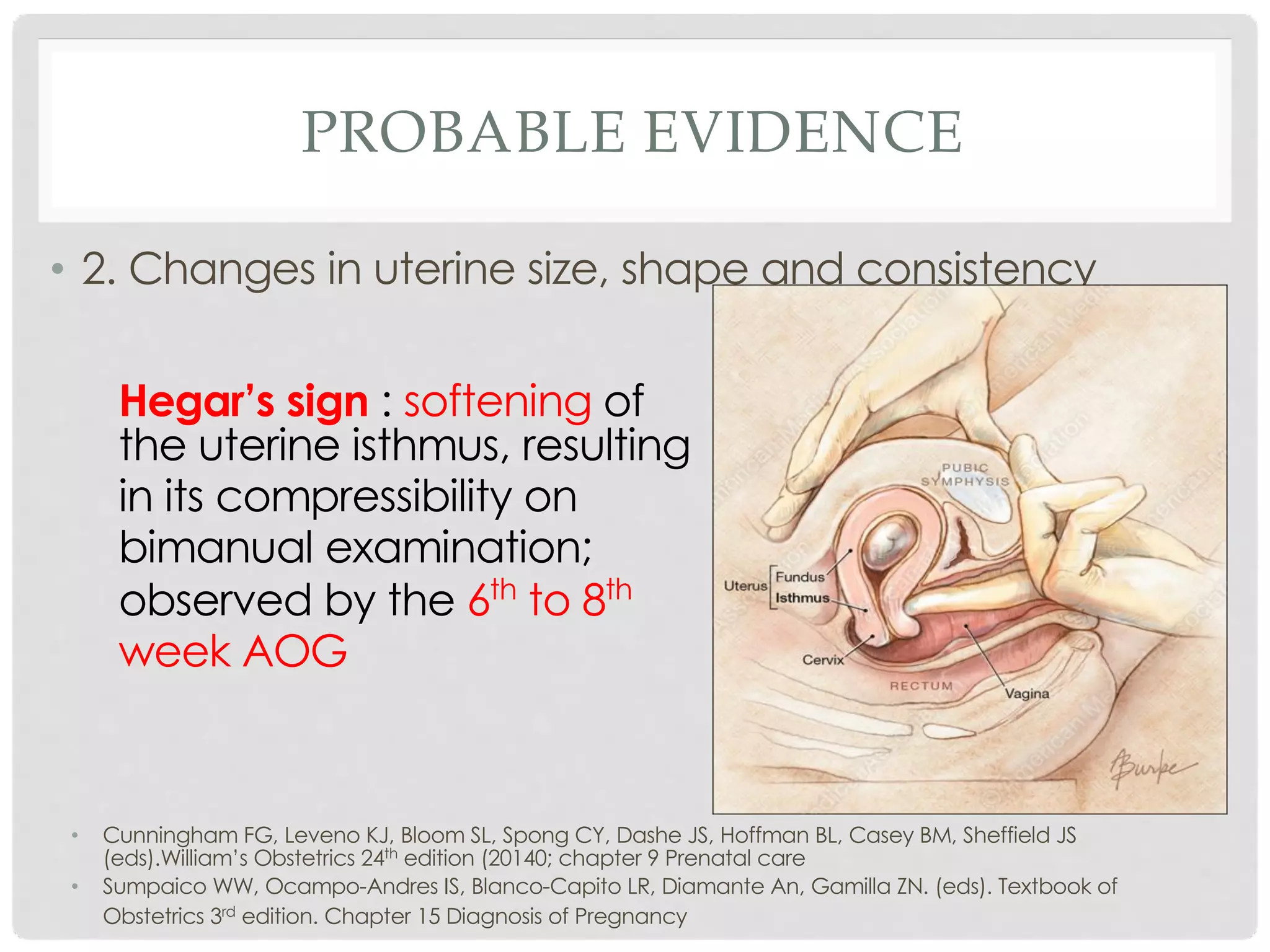 Diagnosis of pregnancy | PDF